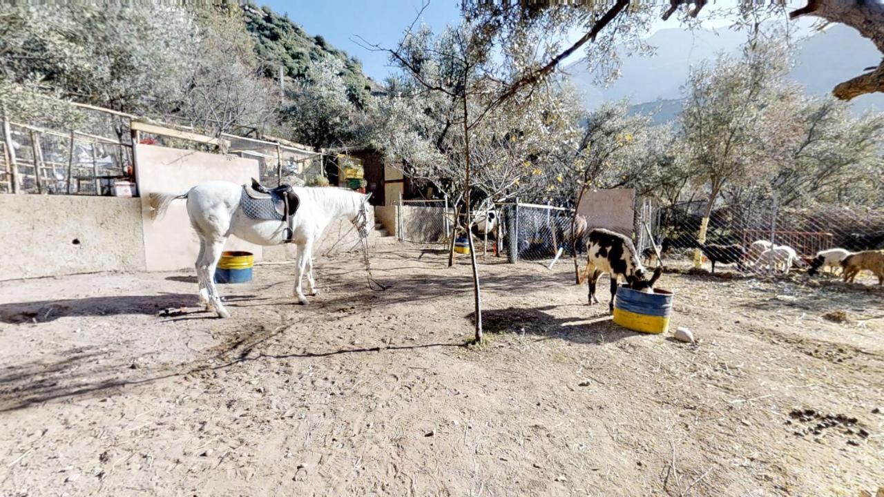 Ferme By Ikalimo Hotel Ourika Exterior foto