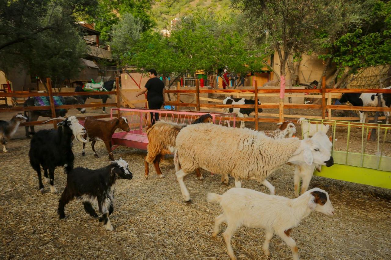 Ferme By Ikalimo Hotel Ourika Exterior foto